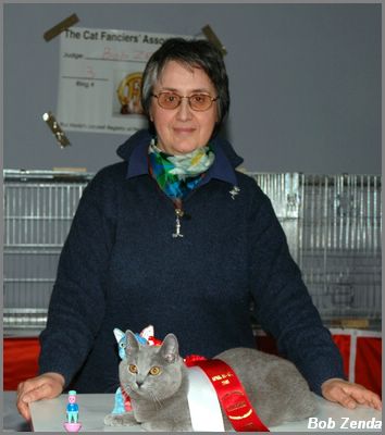 Re Desiderio Kara Kitty